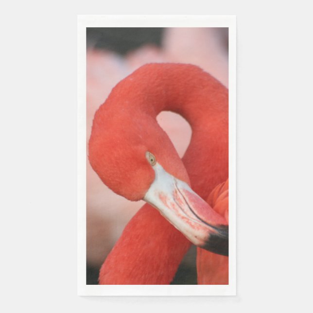 Flamingo 001 serviette (Vorderseite)