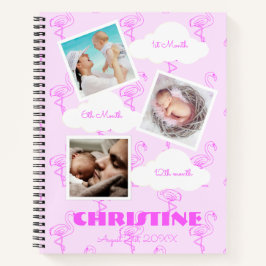 Flamingo 1. Geburtstag Baby Milestone Notizbuch
