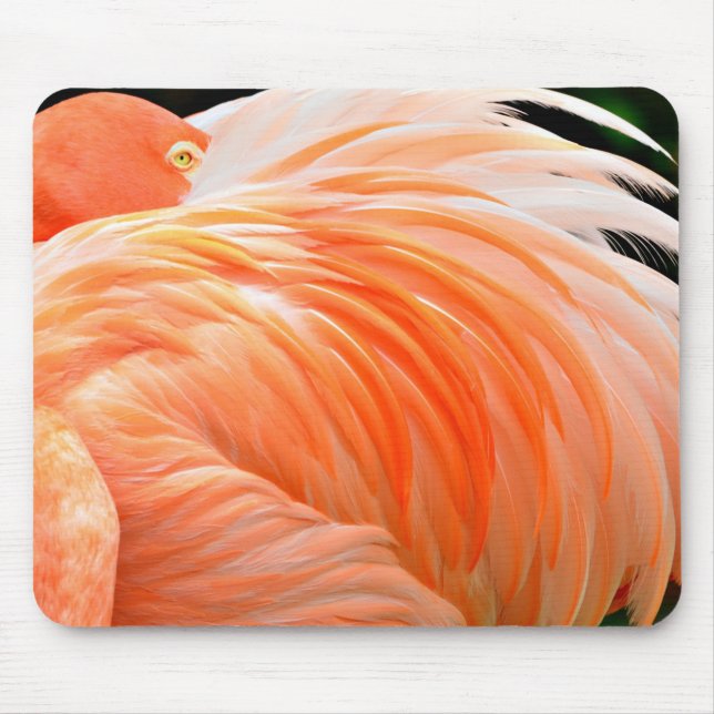 Flamingo 1 Mousepad (Vorne)