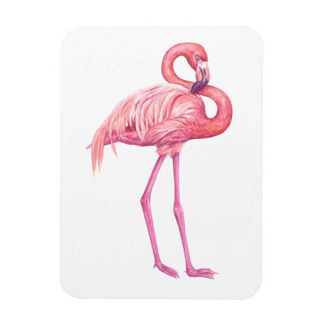 Flamingo 2 magnet (Vertikal)