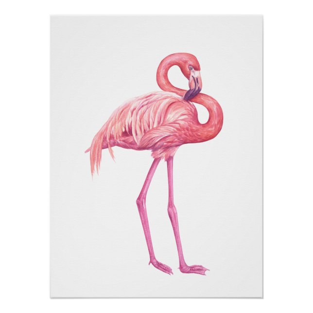 Flamingo 2 poster (Vorderseite)