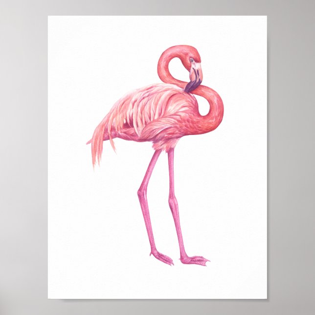 Flamingo 2 poster (Vorne)