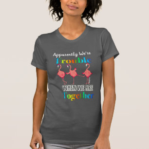 Flamingo anscheinend sind wir Problem T-Shirt