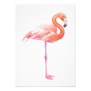 Flamingo-Aquarell Fotodruck