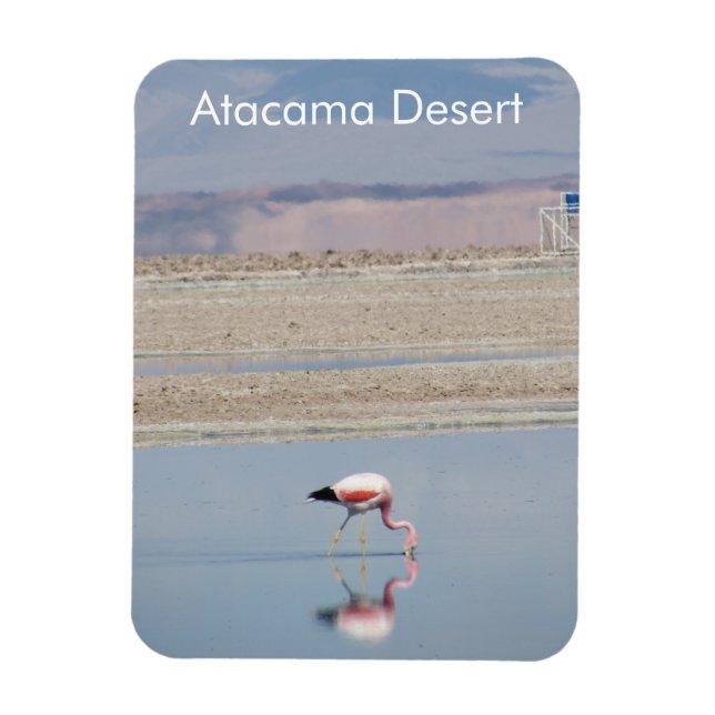 Flamingo Atacama Wüste Flexible Magnet (Vertikal)