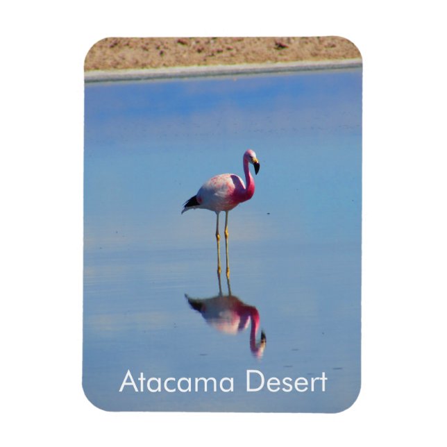 Flamingo Atacama Wüste Flexible Magnet (Vertikal)