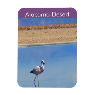 Flamingo Atacama Wüste Flexible Magnet
