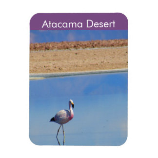 Flamingo Atacama Wüste Flexible Magnet
