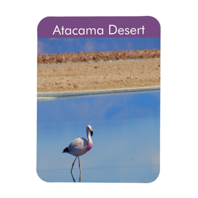 Flamingo Atacama Wüste Flexible Magnet (Vertikal)