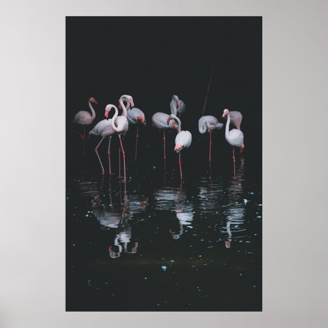 FLAMINGO AUF DUNKELHINTERGRUND POSTER (Vorne)