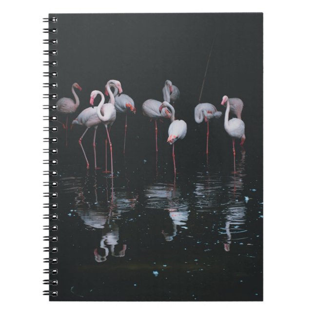 FLAMINGO AUF DUNKLEM HINTERGRUND NOTIZBLOCK (Vorderseite)