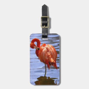Flamingo auf einem Bein im Wasser Gepäckanhänger