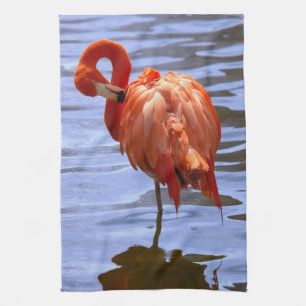 Flamingo auf einem Bein im Wasser Küchentuch