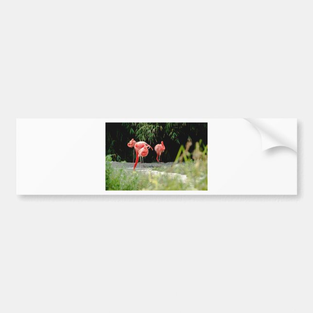 Flamingo Autoaufkleber (Vorne)