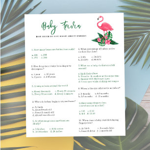 Flamingo - Baby Trivia   Baby Showspiel