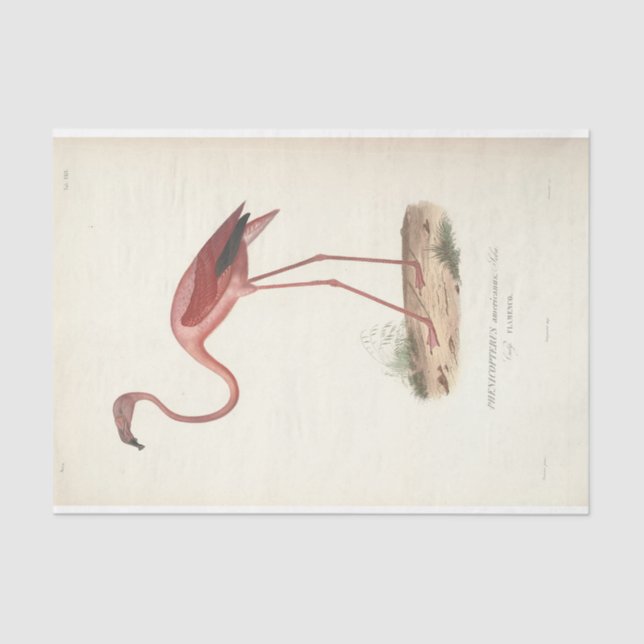 Flamingo Bird Ephemera Decoupage Seidenpapier (Vorderseite)