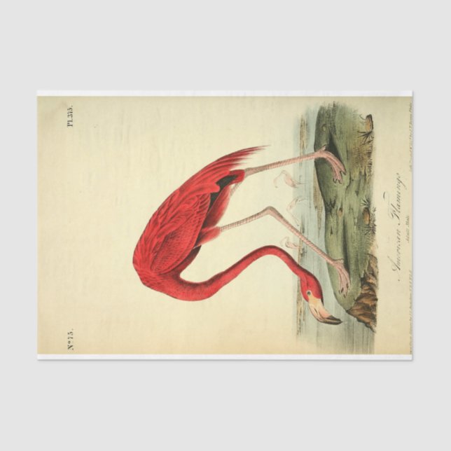 Flamingo Bird Ephemera Decoupage Seidenpapier (Vorderseite)