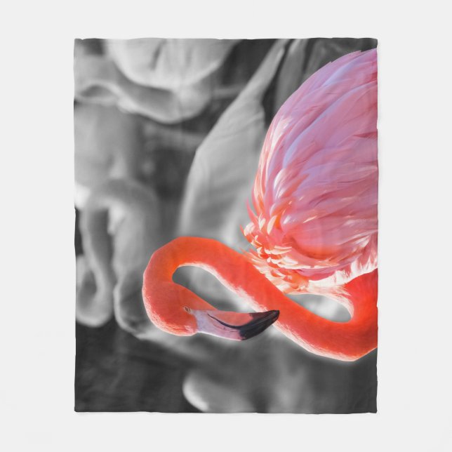 Flamingo Bird Fotografy Fleecedecke (Vorderseite)
