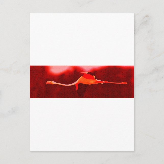 Flamingo Bird Postkarte (Vorderseite)