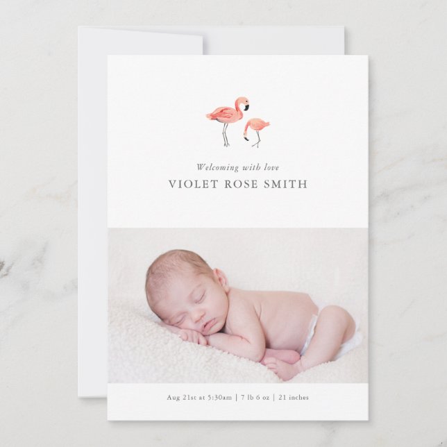 Flamingo Birth Announcement Ankündigung (Vorderseite)