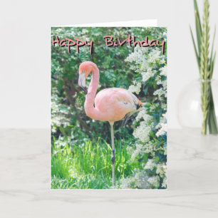 Flamingo Birthday Card Karte
