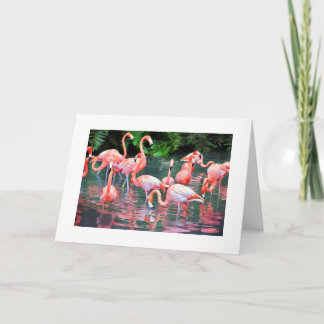 Flamingo Birthday Card Karte