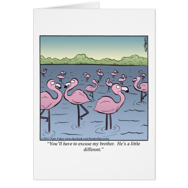 Flamingo-Bruder (Vorne)