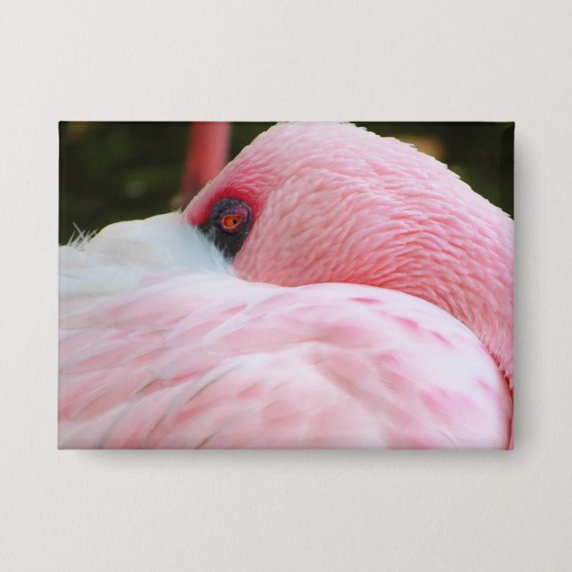 Flamingo Button (Vorderseite)