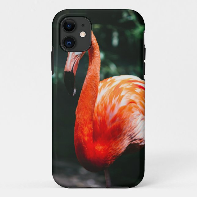 Flamingo Case-Mate iPhone Hülle (Rückseite)