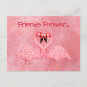 Flamingo Dance Postkarte