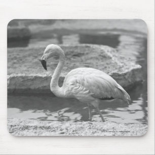 Flamingo, der im Wasser B&W watet Mousepad