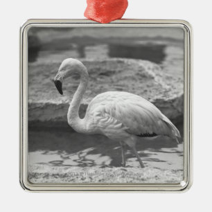 Flamingo, der im Wasser B&W watet Ornament Aus Metall