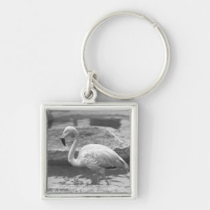 Flamingo, der im Wasser B&W watet Schlüsselanhänger