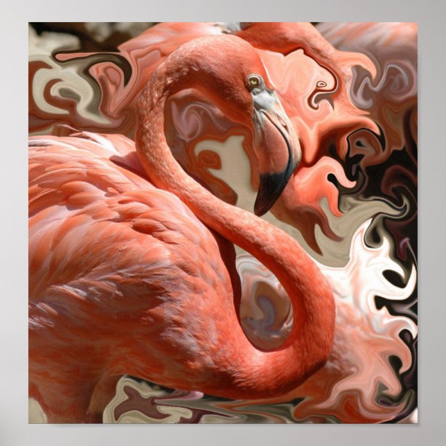 Flamingo Dreams Poster (Vorne)