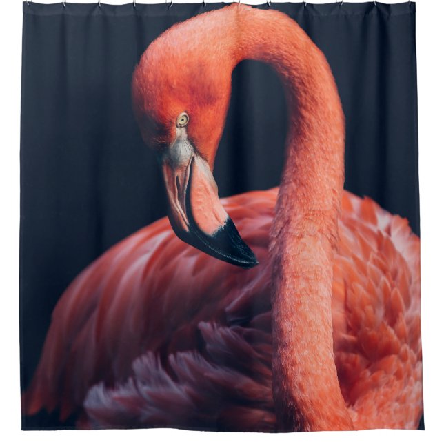 Flamingo Duschvorhang (Vorderseite)