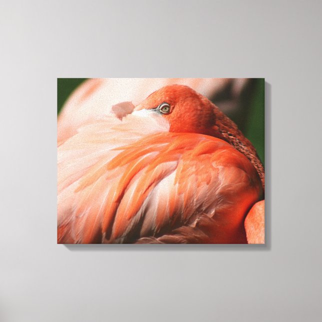 Flamingo eingewickelte Leinwand (Vorderseite)