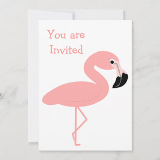 Flamingo entwirft jedes Ereignis Einladung