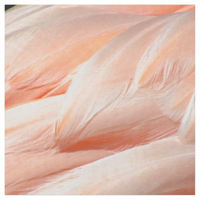Flamingo Feathers - 5818 Stoff (Nahaufnahme)