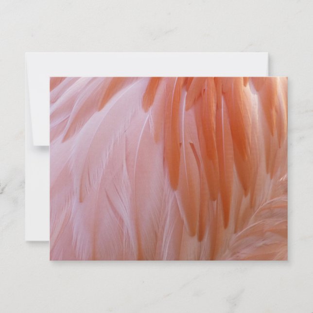 Flamingo Feathers in Pink-Schatten (Vorderseite)