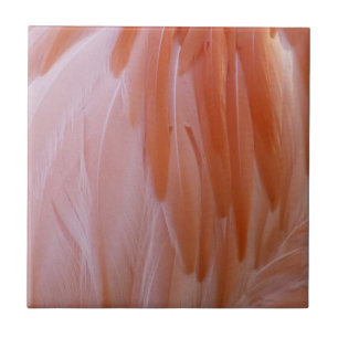 Flamingo Feathers in Pink-Schatten Fliese