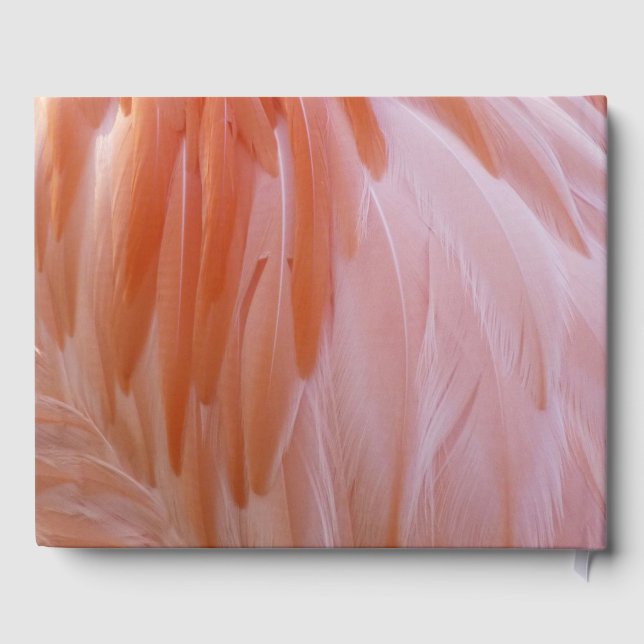 Flamingo Feathers in Pink-Schatten Gästebuch (Rückseite)