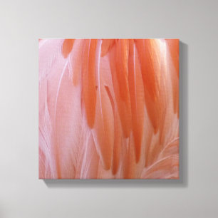 Flamingo Feathers in Pink-Schatten Leinwanddruck