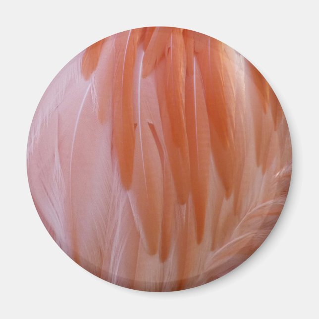 Flamingo Feathers in Pink-Schatten Magnet (Vorne)