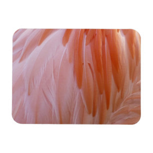Flamingo Feathers in Pink-Schatten Magnet