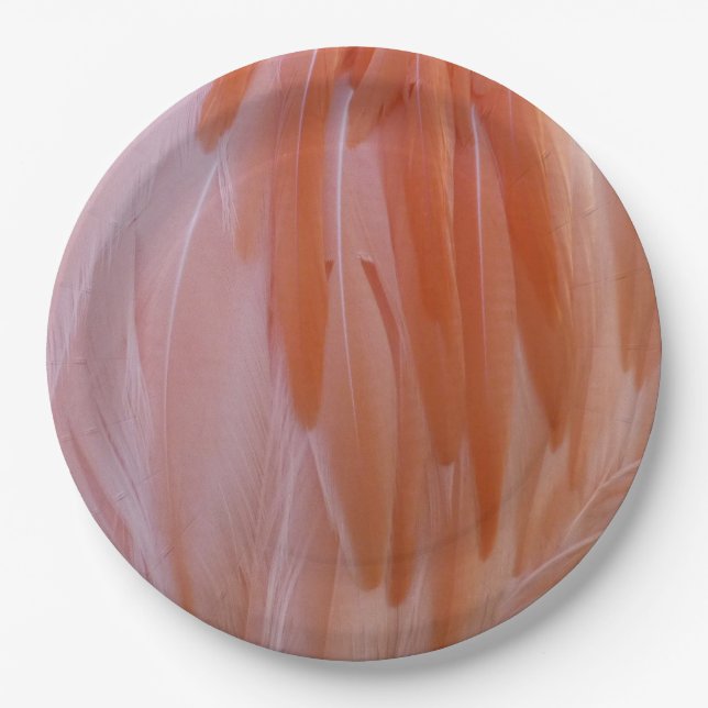 Flamingo Feathers in Pink-Schatten Pappteller (Vorderseite)