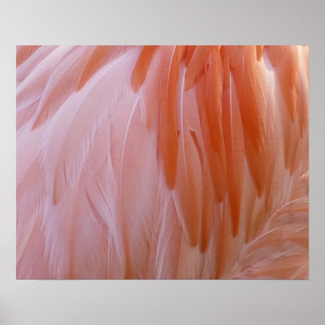Flamingo Feathers in Pink-Schatten Poster (Vorne)