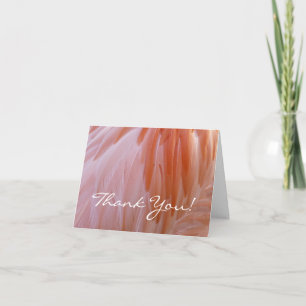 Flamingo Federn in Rosa-Tönen Dankeskarte