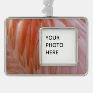Flamingo Federn in Rosa-Tönen Rahmen-Ornament Silber