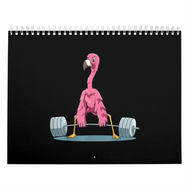Flamingo-Feuerwerk Kalender (Titelbild)