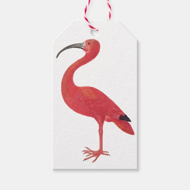 Flamingo - Fine Art Geschenkanhänger (Vorderseite)